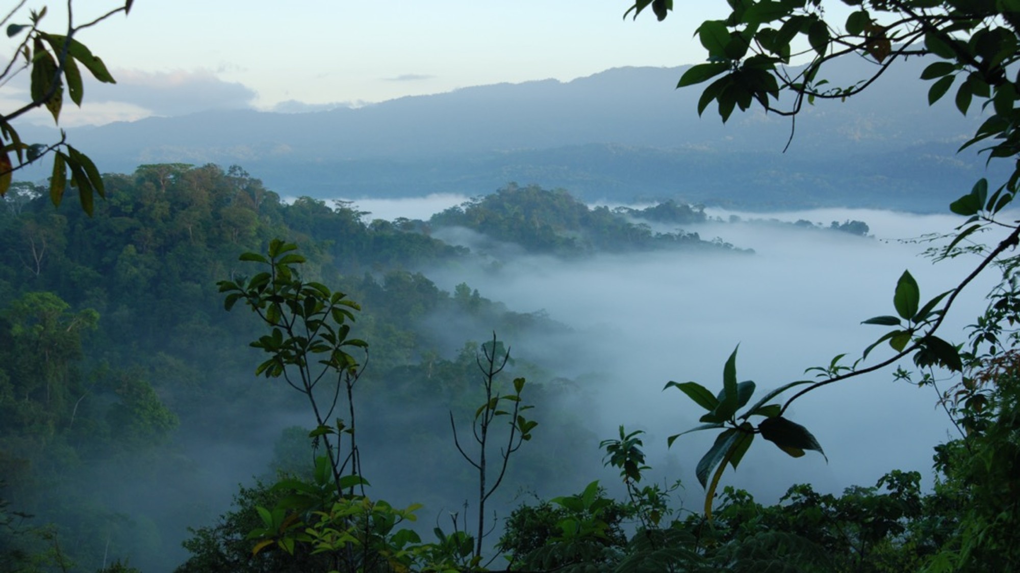 Terrestrial Ecosystem Ecology (CM 703)