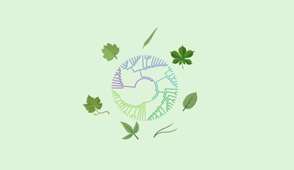Research Theme 2. Photo credits: The QUINTESSENCE Consortium (https://www.cell.com/trends/ecology-evolution/fulltext/S0169-5347(15)00300-6)