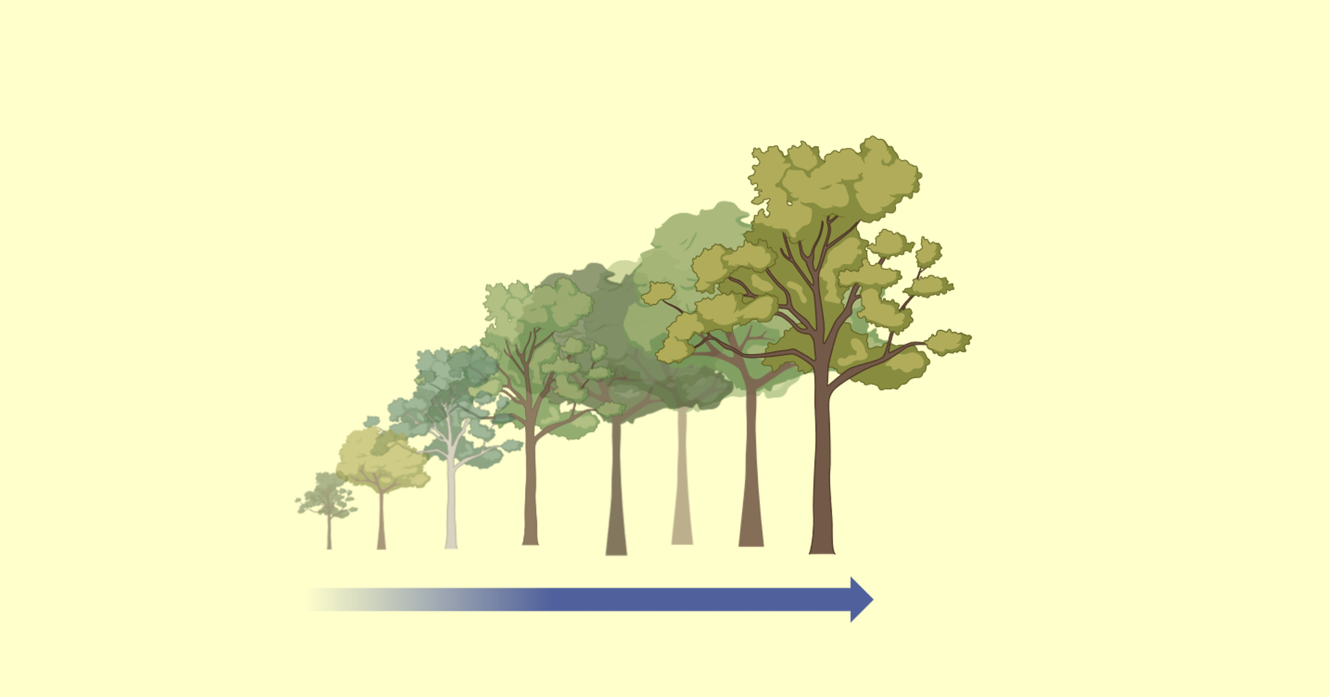Research Theme 2. Photo credits: The QUINTESSENCE Consortium (https://www.cell.com/trends/ecology-evolution/fulltext/S0169-5347(15)00300-6)